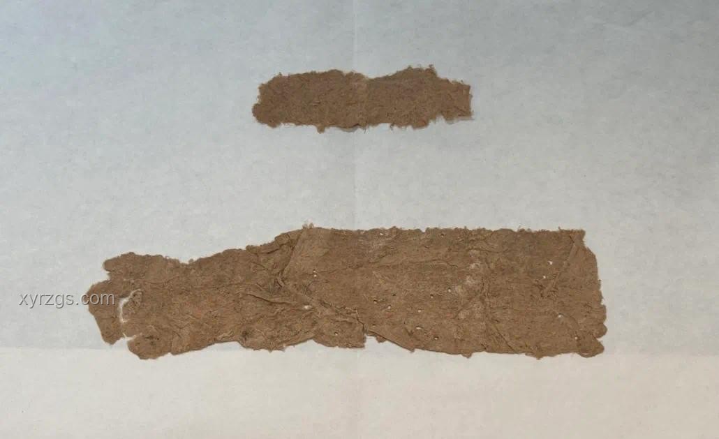 敦煌悬泉置瓜皮揭秘汉代生活细节与文化