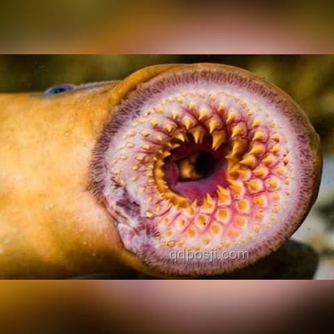 21世纪生物学：是天坑还是宝藏？我的亲历揭秘